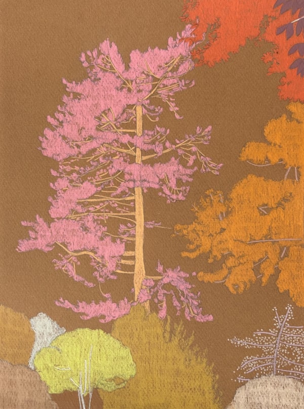 Clare Halifax pencil drawing on coloured paper of trees and a footpath in orange, green, pink and red