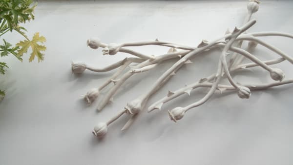 Emma Jagare hand built porcelain white stems of briar rose stems formed randomly.