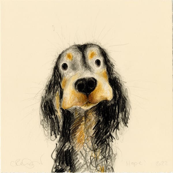 Catherine Rayner original portrait of a dog's head in black and tawny brown, facing the viewer with long ears and large eyes.