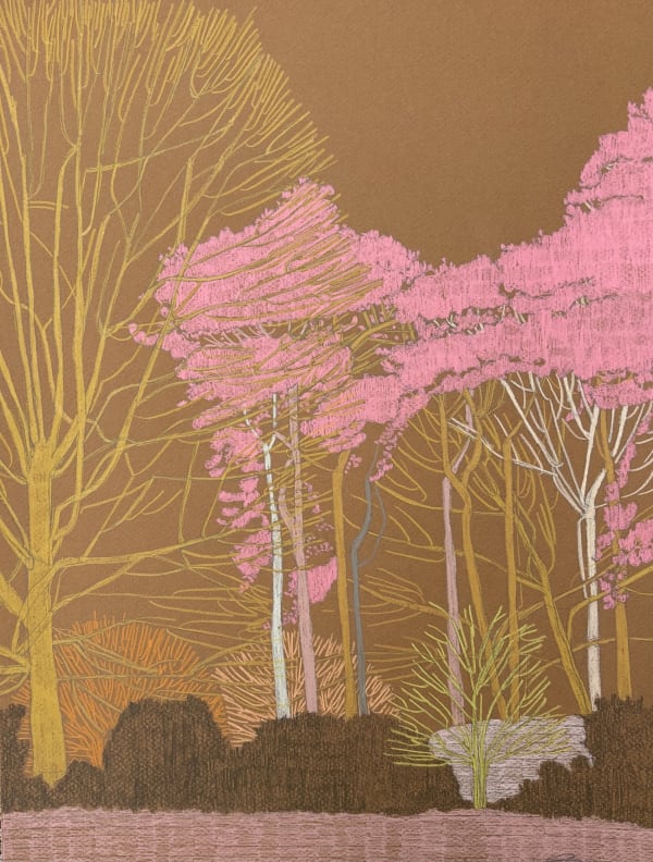 Clare Halifax pencil drawing on coloured paper of Hampstead Heath, in colours orange, pink, purple and yellow