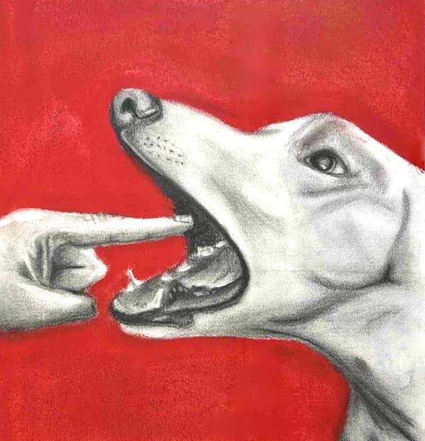 Erin Rosalie Thomas drawing of a human hand pointing into an open dogs mouth