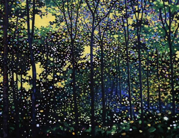 Jim Whitty bright yellow sunshine breaks through a silhouetted tree canopy, light dances all around