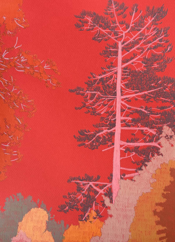 Clare Halifax pencil drawing on coloured paper of trees and a footpath in red, orange, purple and pink