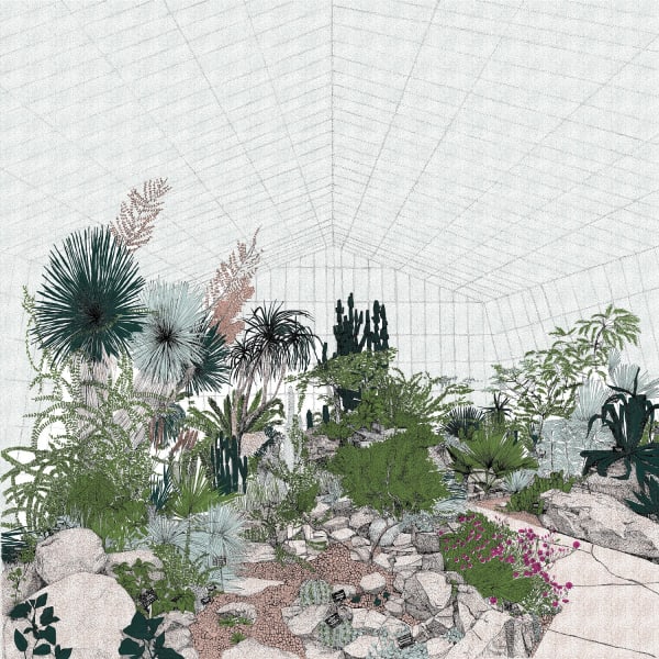 Clare Halifax screen print, showing a selection of different cacti species in a pebble garden with a path winding through it in a grid patterned green house.