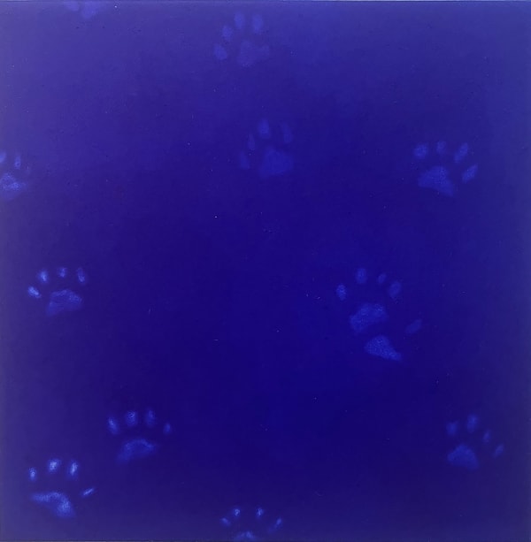 Mychael Barratt mezzotint piece in the famous 'Yves Klein' blue shade, faint cat paws scatter across the image as if a cat had walked across it unprompted.