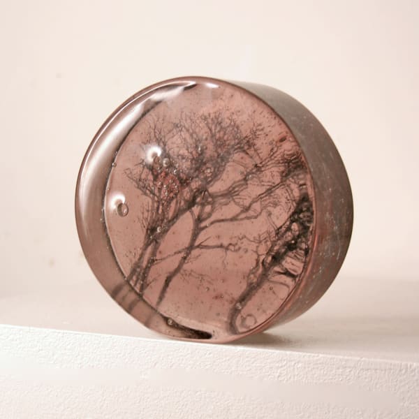 Helen Slater circular standalone glass sculpture of bare tree branches, set in light plum glass