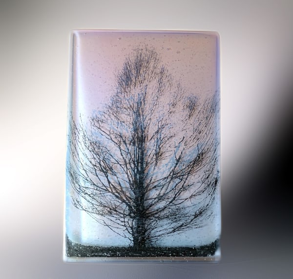 Helen Slater rectangular glass art piece with a silhouette of a tree against a lilac background which changes in colour depending on the light filtering through it.