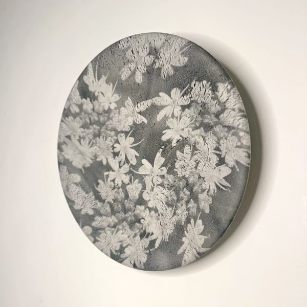 Heidi Harrington porcelain stoneware plate with cicely flowers transferred on black and white