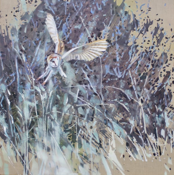 James Fotheringhame oil painting piece, showing a barn owl with wings spread in flight, amongst long grass with some dusky purple and pale blue detail.