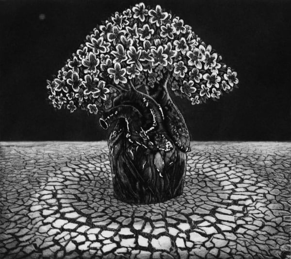 Ade Adesina small print in black and white of a small, flowering tree stranding in scorched, dry ground, its trunk shaped like a heart,