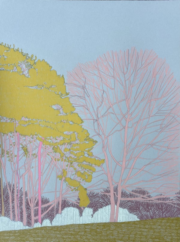 Clare Halifax pencil drawing on coloured paper of Hampstead Heath, in colours blue, green, purple and pink