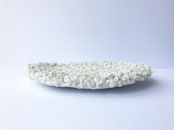 Emma Jagare hand built porcelain white plate showing dimensional detail of coral.