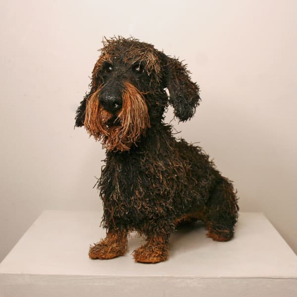 Gemma Rees mixed media sculpture of a realistic Dachshund dog in a black and brown colourway and shaggy fur