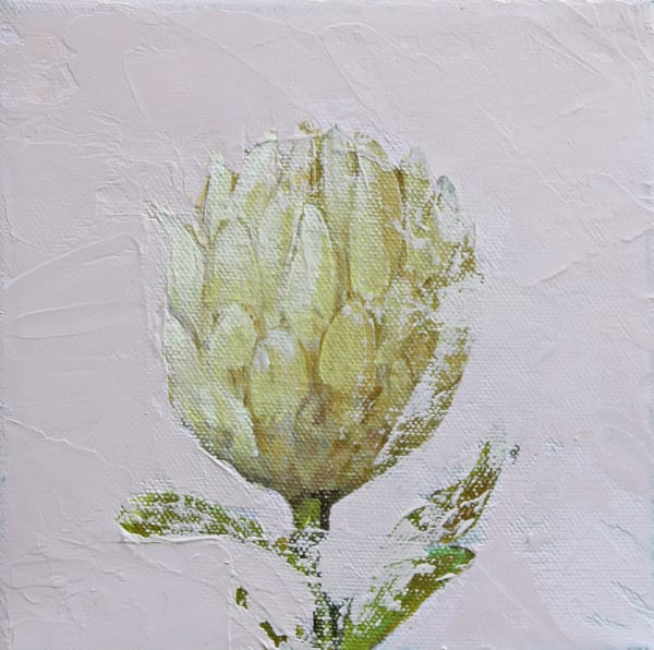 Fletcher Prentice painting of a green white protea flower on a grey background