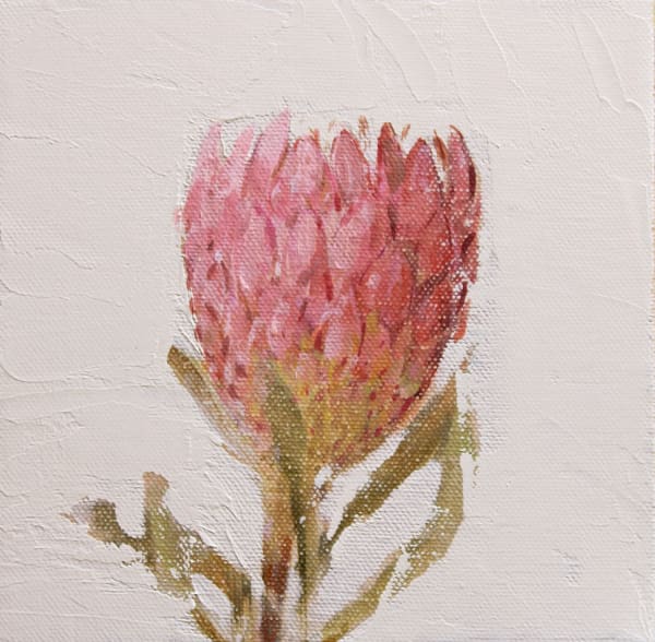 Fletcher Prentice painting of a pink protea flower on a light beige background