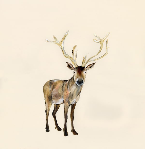 Catherine Rayner, Wilson, 2020