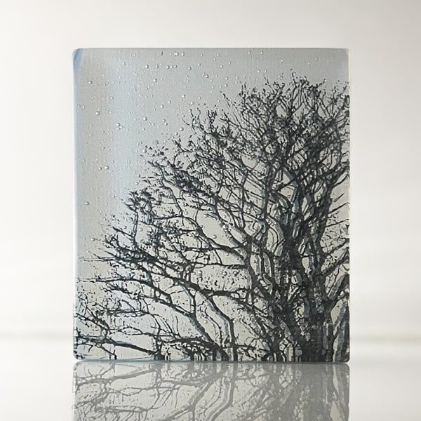 Helen Slater glass sculpture with black oak tree drawing in sky blue and opaline glass