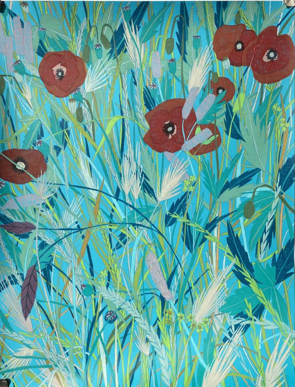 Clare Halifax pencil drawing on coloured paper of poppies in Hackney, in colours blue, green and orange