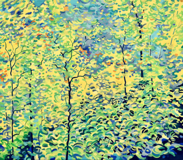 Jim Whitty woodland painting, the bright summer sun beams through the tree canopy turning the leaves bright green and yellow