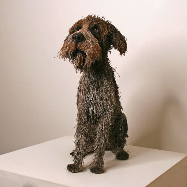 Gemma Rees mixed media sculpture of a realistic german point dog in a brown and white colourway and seated position
