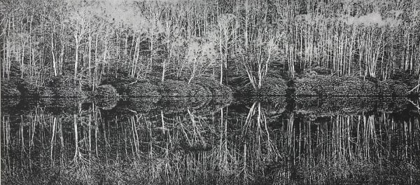 Trevor Price print in black and white drypoint technique of trees and bushes reflected in water