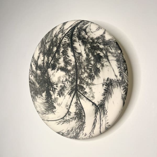 Heidi Harrington ceramic plate with photogravure pattern of a yew tree branches in black and white