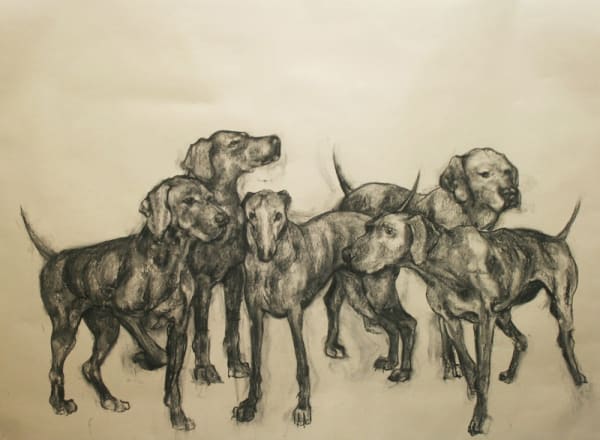 Abigail Reed charcoal drawing of five hound breed dogs interacting with one another