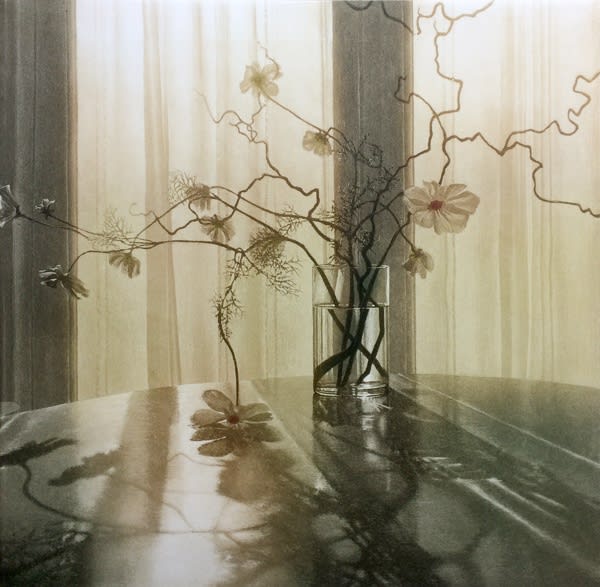 Anja Percival etching of white flowers with spindly stems in a glass vase, in the background are drawn curtains giving the image a slightly dull light with sun shining through.