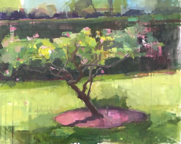 Sarah Spackman oil painting study of an apple tree with the sun shining upon in in a luscious green garden with hedgerow around the edge.