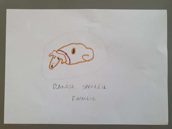 A child's drawing of a sleeping dog, curled it in its basket