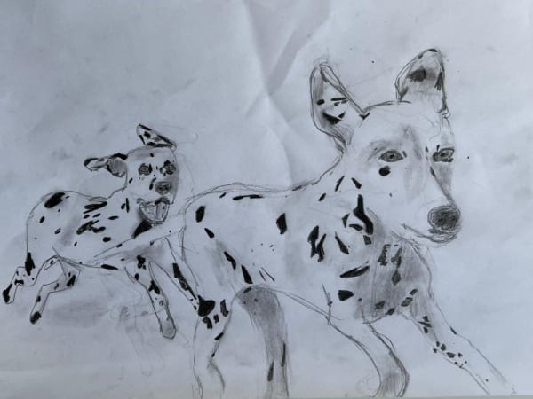 A child's drawing in pencil of two Dalmatian hounds running with their ears flyin