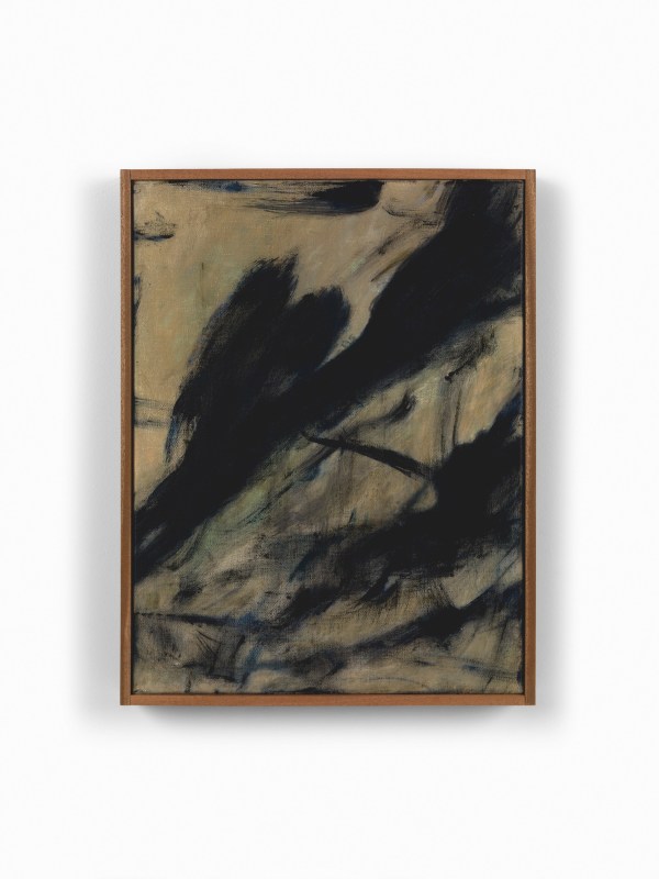 Flower Field in Wittem