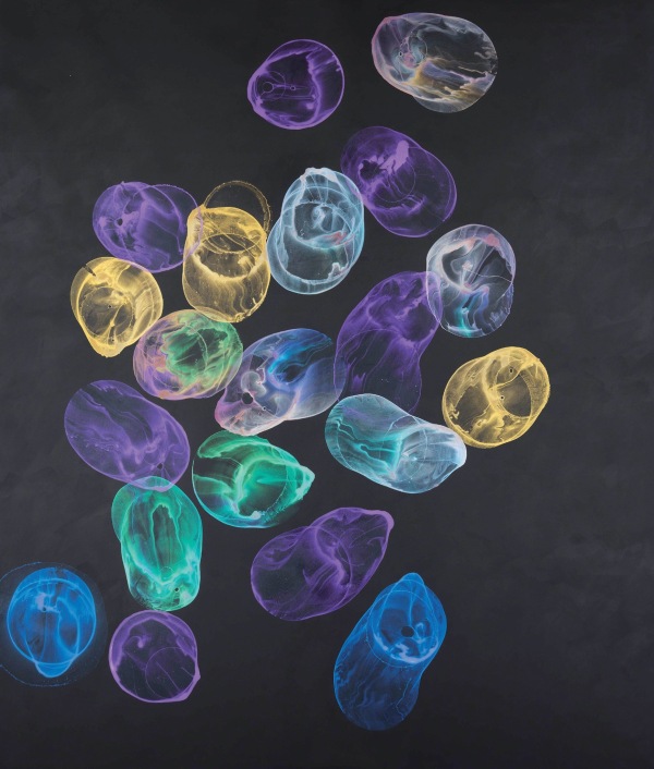 Jiri Georg Dokoupil, Untitled, 2014