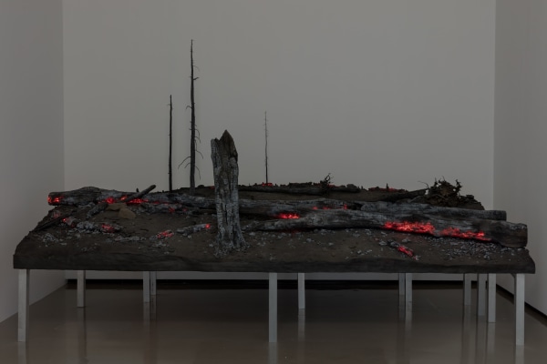 Roxy Paine, Desolation Row, 2016