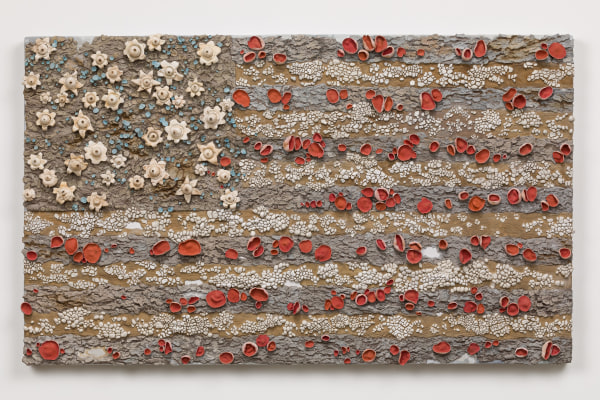 Roxy Paine, Fungal Flag no. 1, 2021