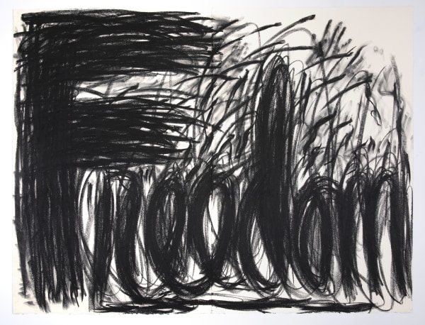 Judith Bernstein, Freedom, 1995