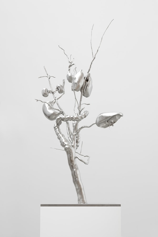 Roxy Paine, Untitled, 2012-2017