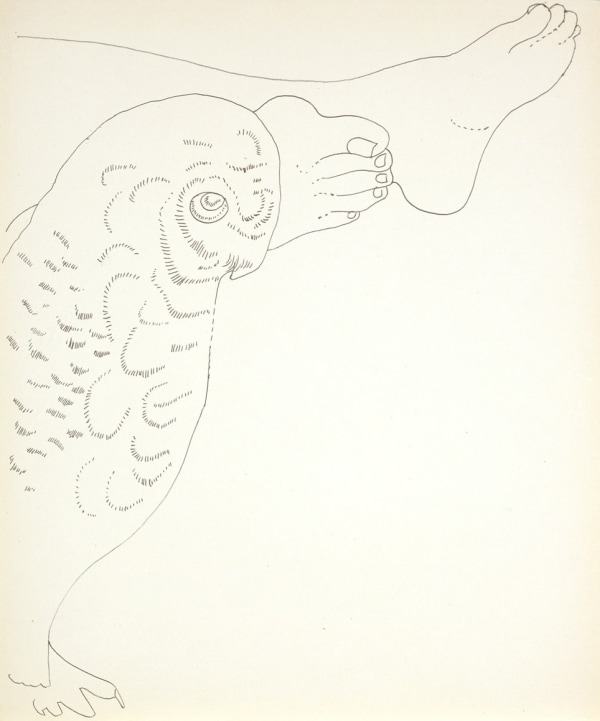 Andy Warhol, Owl and Feet, ca. 1961