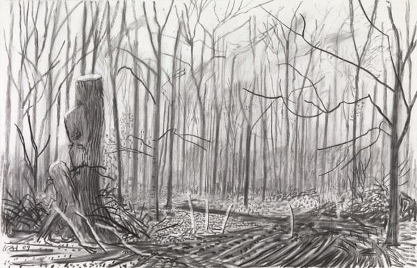 David Hockney, Untitled III, 2009