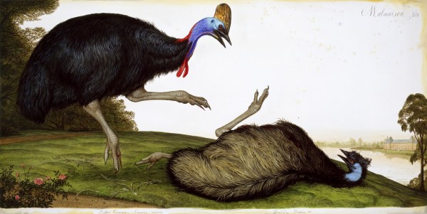 Walton Ford, Malmaison, 2008