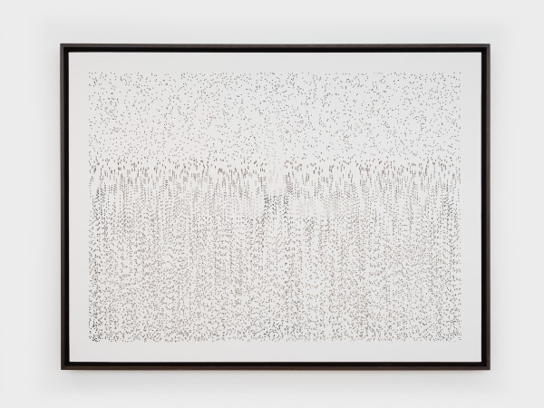 Pablo Dávila, Phase paintings (The natural flow of forgetting), 2025