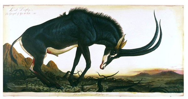 Walton Ford, Lost Trophy, 2005