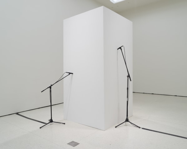 Naama Tsabar, Closer, 2014