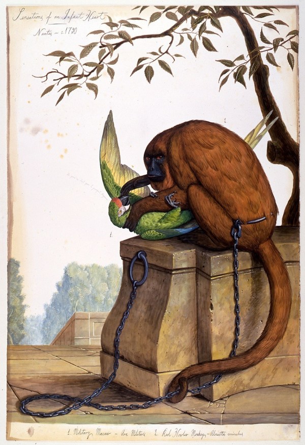 Walton Ford, Sensations of an Infant Heart, 1999