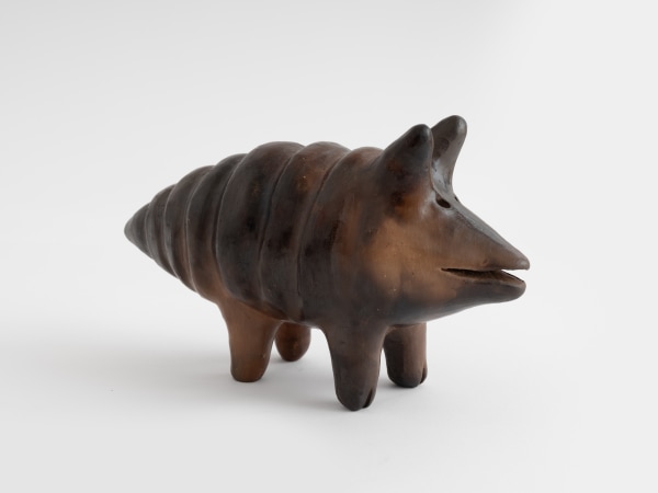 Julia Isidrez, Armadillo, 2023