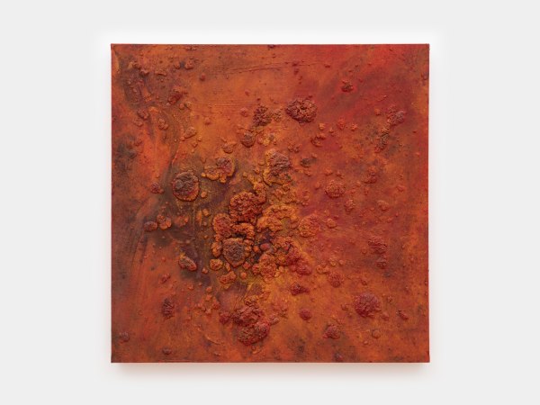 Bosco Sodi, Untitled, 2016