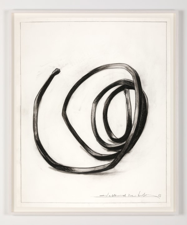 Bernar Venet, Undetermined Line, 1989