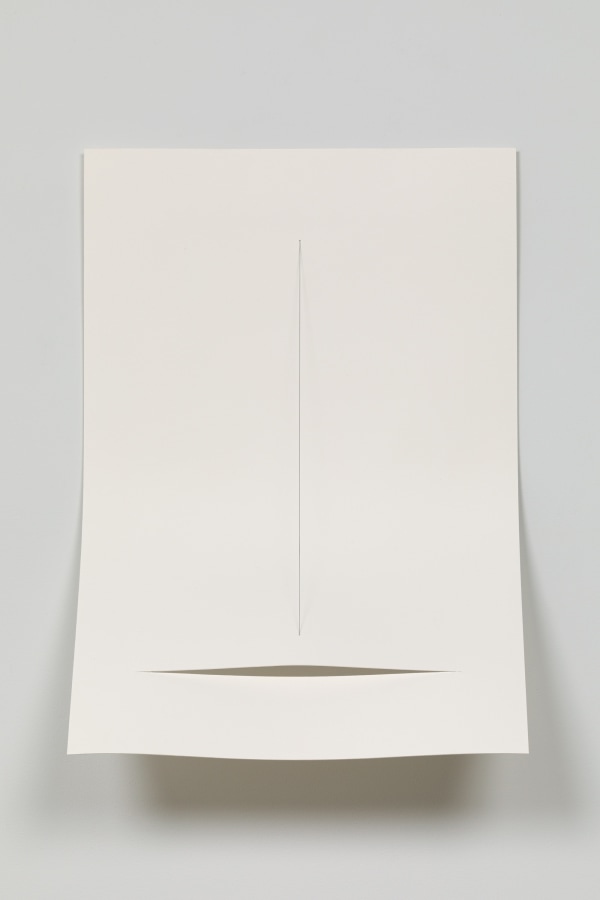Naama Tsabar, Work on Paper #25