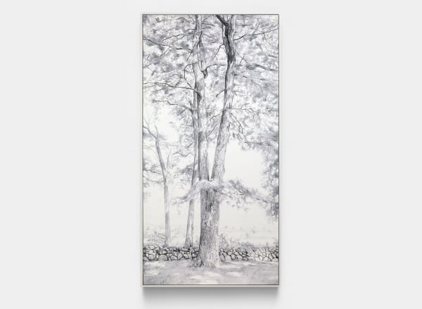 Cynthia Daignault, Gettysburg (Witness Tree), 2021