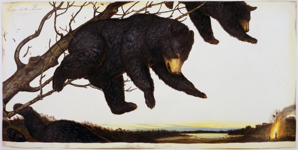 Walton Ford, Scipio and the Bear, 2007